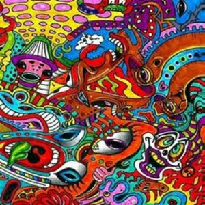 Meet your Posher, Aaron